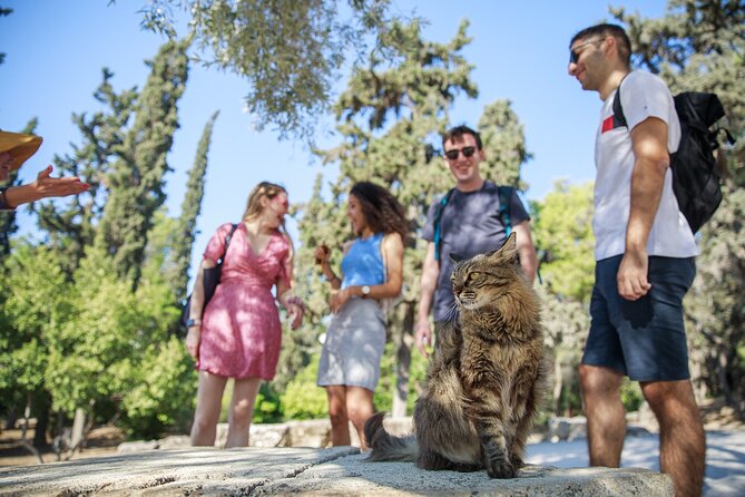 Athens Acropolis and Parthenon Walking Tour - What You’ll See: Propylaea, Dionysus, Asclepios, and the Odeon