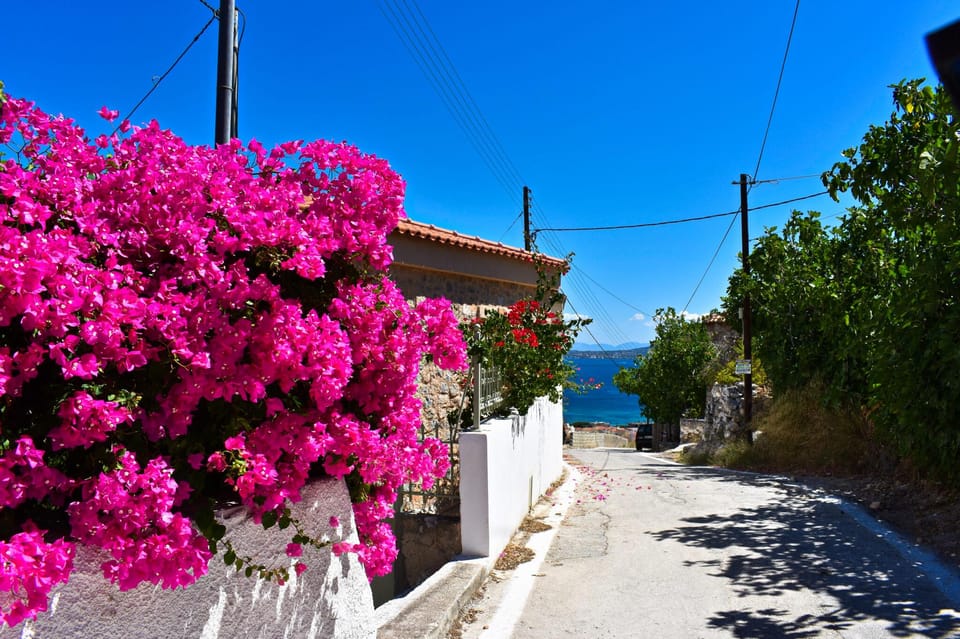 Athens: Agistri, Metopi & Aegina Cruise with Meals & Drinks - Key highlights to know before you go
