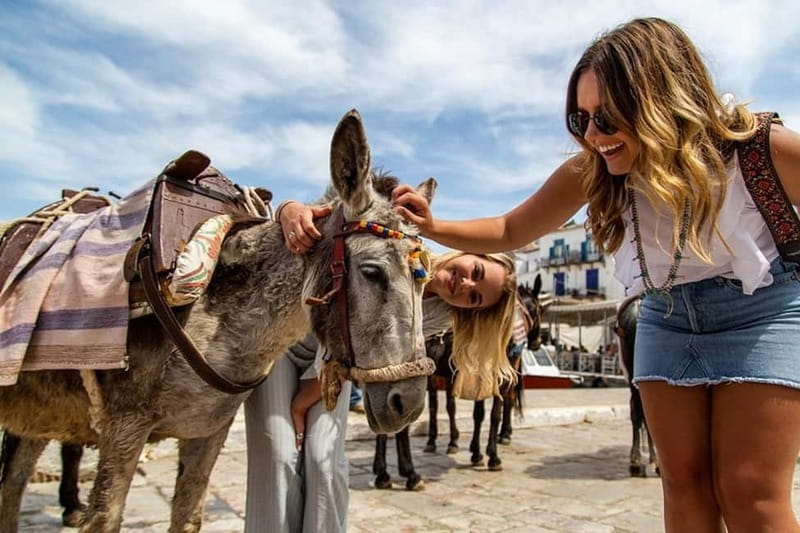 Athens Day Cruise – Since 1965 | Visit Hydra, Poros & Aegina - Why Hydra, Poros, and Aegina fit together so well