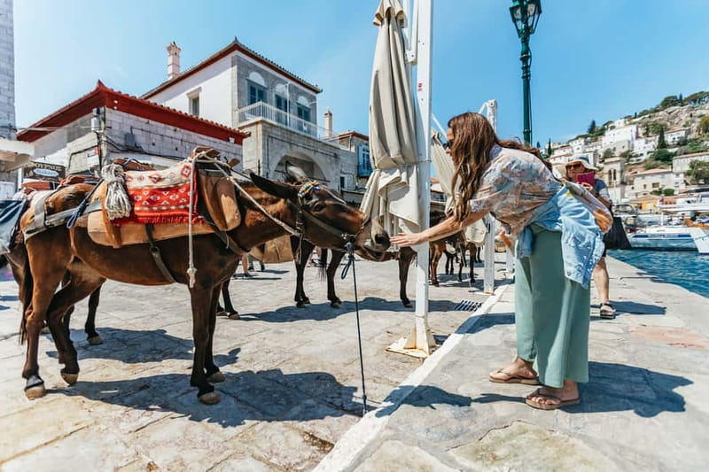 Athens Day Cruise – Since 1965 | Visit Hydra, Poros & Aegina - Onboard feel: a big boat, a bar, and live entertainment