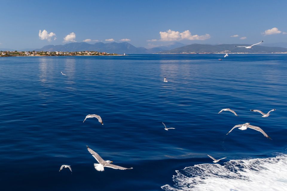 Athens: Guided Day Trip to Aegina Island with Swimming - Aegina Town free time: neoclassical streets and pistachio flavor