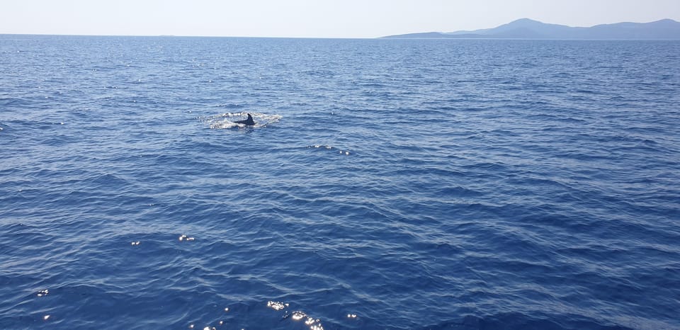Athens: Riviera Catamaran Tour with Fresh Meal and Drinks - Who should book this catamaran tour (and who should skip it)