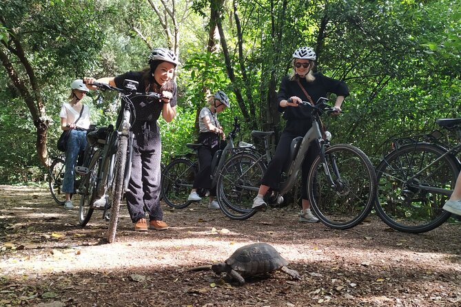 Athens Small Group Electric Bike Tour - Safety and riding in Athens traffic without losing your cool