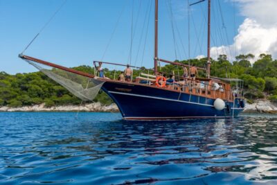 From Athens: Aegina, Agistri and Metopi Day Cruise w/ Lunch - From Athens Pickup To Marina Zeas: Getting Started Right