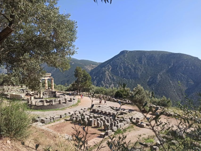 From Athens: Delphi Full Day V.R. Audio Guided Tour - Key Highlights to Know Before You Go