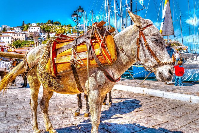 From Athens: Hydra, Poros, and Aegina Day Cruise with Lunch - Price and value: what you’re really paying for