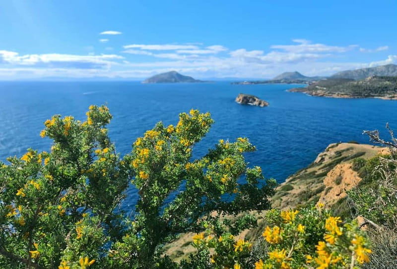 From Athens: Temple of Poseidon & Cape Sounion Half-Day Tour - Stop at the Temple of Poseidon: what you’ll actually do there