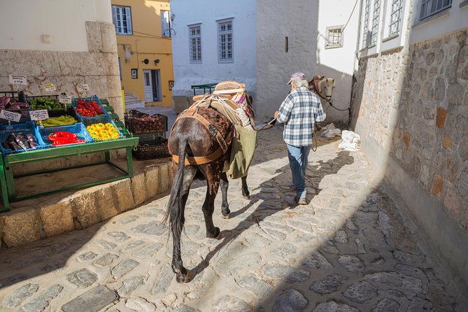 Hydra, Poros and Egina Day Cruise from Athens with Optional VIP Upgrade - Standard vs VIP upgrade: what you actually get for the money