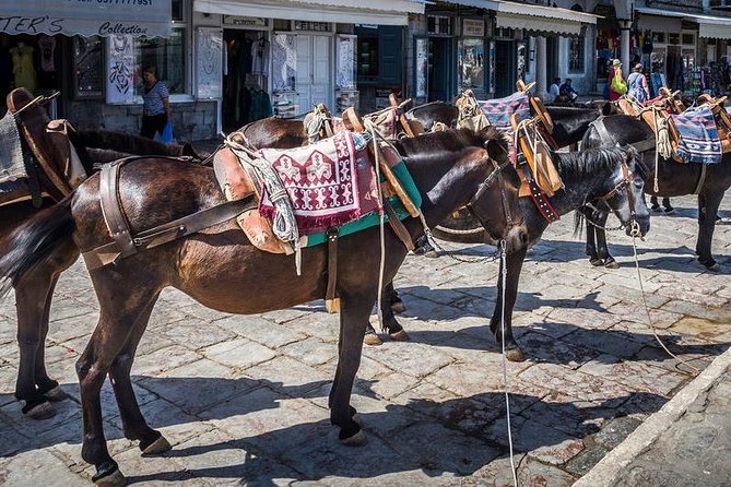 One Day Cruise to Hydra, Poros and Aegina from Athens - One-day island hopping from Athens: what the day feels like