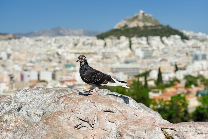 Private Luxury Biblical Tour: Apostle Paul in Athens & Corinth - Areopagus and the Unknown God moment—plus St. Dionysius’ quiet church